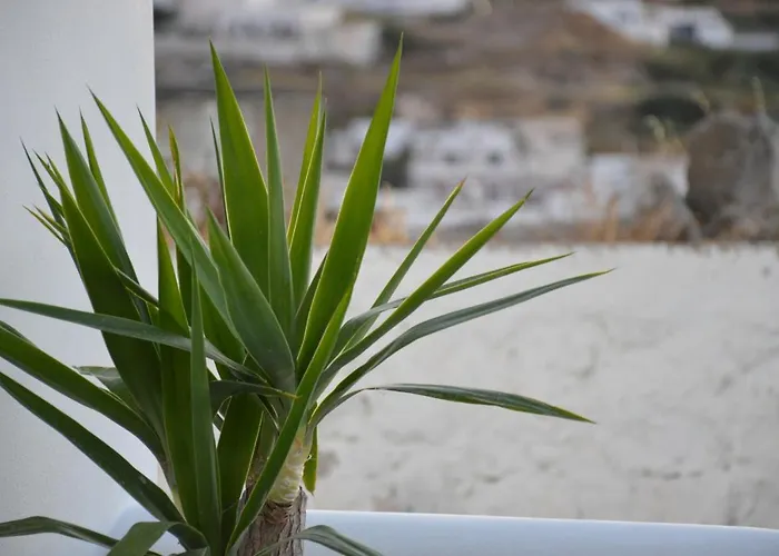 Apartman Rhyolite Triovászalosz