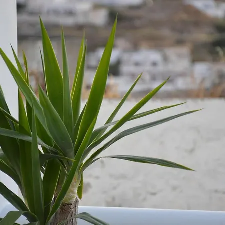 Apartment Rhyolite Triovasalos